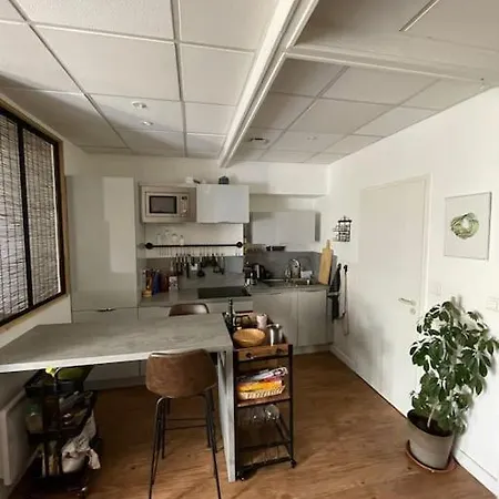 Studio Cosy Tout Confort - Le Drouvenant Clairvaux-les-Lacs Extérieur photo